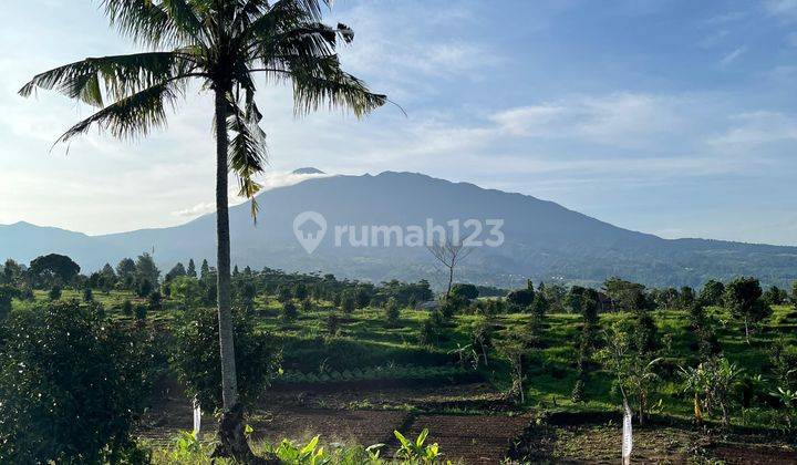 Tanah Hanya 1km Dari Rumah Makan Pagi Sore Cisarua Puncak Bogor 1