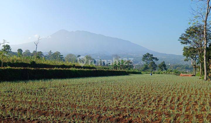 Dijual Tanah Hanya 18 Menit Dari Exit Tol Gadog Puncak Bogor  2