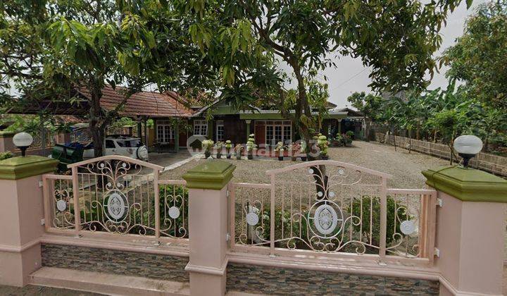 Dijual Rumah Tanah Luas di Anjatan, Indramayu 2