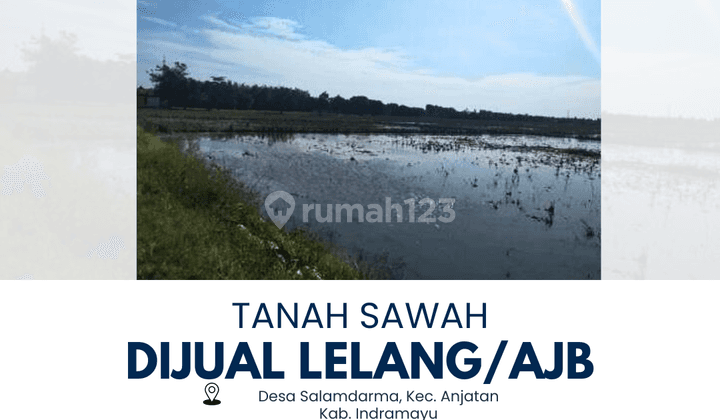 Dijual Tanah Sawah di Anjatan Indramayu 1