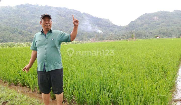 Bu Jual Sawah di Tegal Panjang Cireunghas Sukabumi Jawa Barat 2