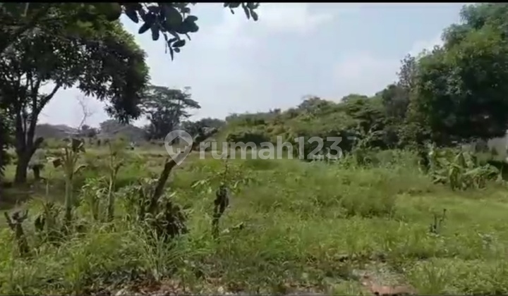 Dijual Tanah Luas Cocok Untuk Bangun Kontrakan, Tempat Usaha, Bangun Rumah di Desa Aren Jaya Bekasi 2