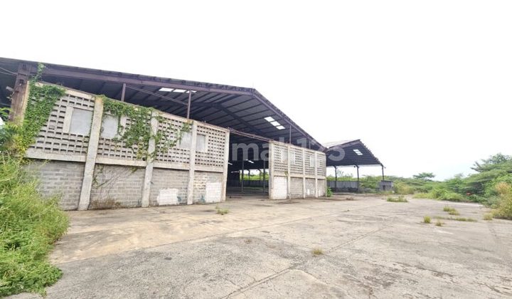 Disewakan Gudang Dengan Lahan Yang Luas Di Bekasi Utara 1