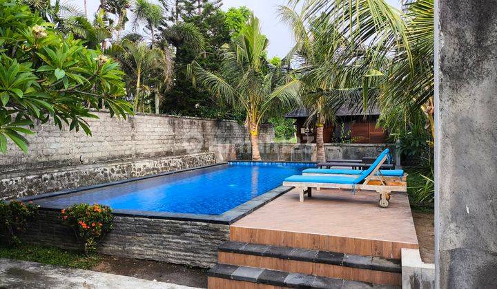  Apartement  Modern  1 Bed Room Lokasi Strategis Di Ubud  1