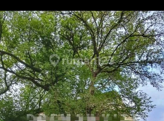 Adam Malik Shophouse Ready for Occupancy 2