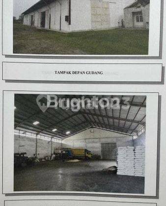 Gudang Gatot Subroto Luas 1