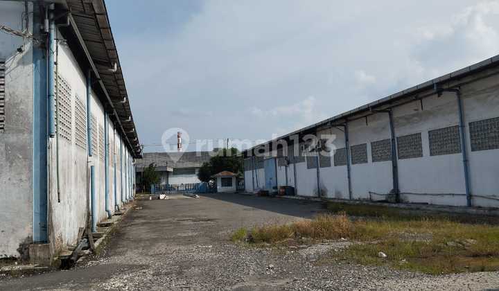 Warehouse Kedaung Tanjung Morawa