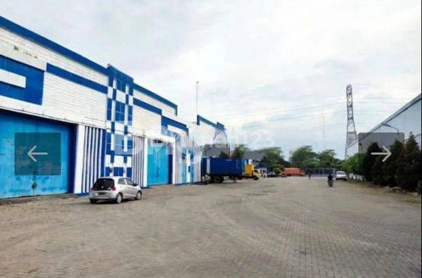 Disewakan Gudang Solid 3 Di Jl. Pulau Nias  1