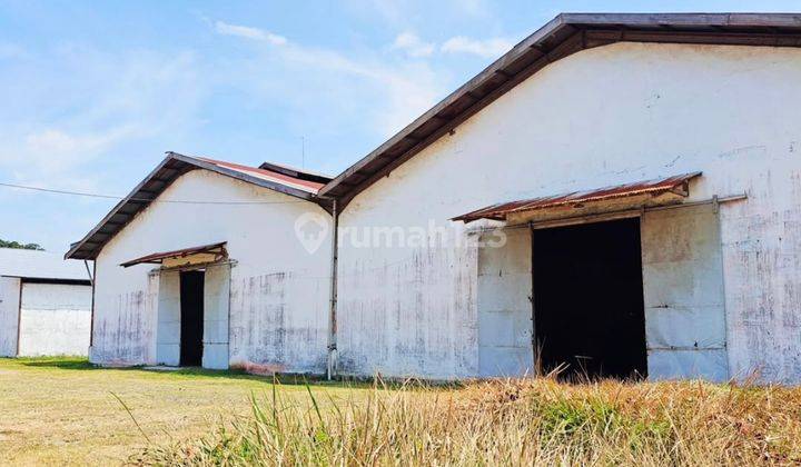 Sewa Gudang Tembung 2