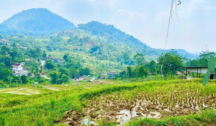 Tanah View Cantik di Babakan Madang, Bogor 1.100 m² 2