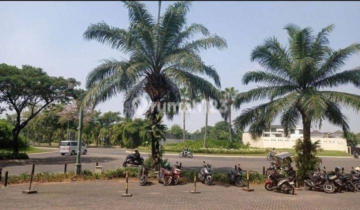 Disewakan ruko 3 lantai hadap jalan raya scientia, cocok buat usaha dan kantor min 2 th sewa

 2