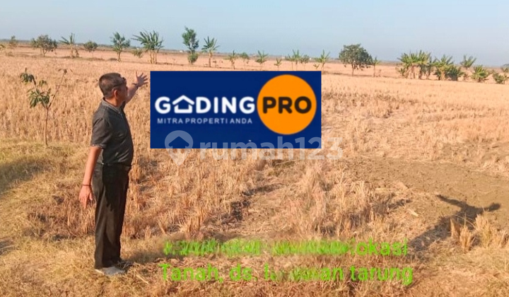 For Sale: Land in Indramayu, 1400 Hectares, West Java