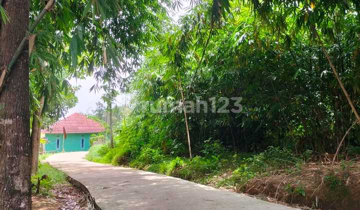 Dijual Cepat Tanah Tenjo, Dikelilingi Perumahan, The Next Serpong 2