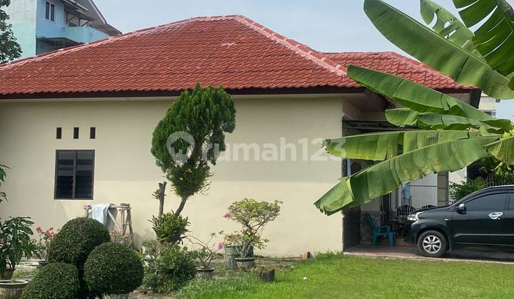 Lahan Luas Bebas Banjir Buat Usaha Lahan Luas Bebas Banjir Buat Usaha