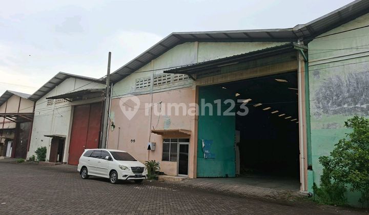 Disewakan Langsung Pemakai Gudang Sinar Buduran