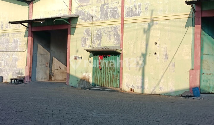 FOR SALE FOR RENT WAREHOUSE IN SINAR BUDURAN