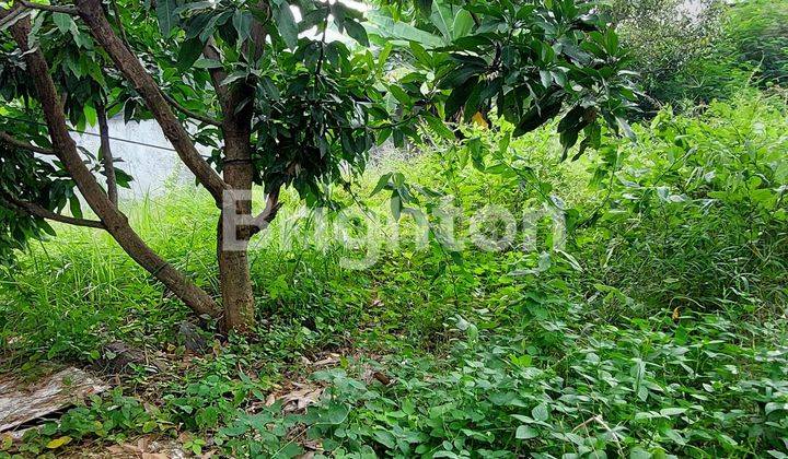 TANAH SIAP BANGUN LEBIH TINGGI DARI JALAN LOKASI STRATEGIS UNTUK USAHA RESTORAN TOKO ROTI RUKO GUDANG MADUKORO SEMARANG INDAH SEMARANG BARAT ANTI BANJIR DEPAN JALAN SUDAH BETON BENTUK TANAH BAGUS PERSEGI PANJANG 2