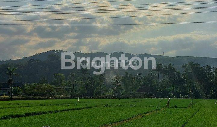 TANAH SANGAT STRATEGIS  DEKAT KOTA SALATIGA DIPINGGIR JALAN BESAR 2