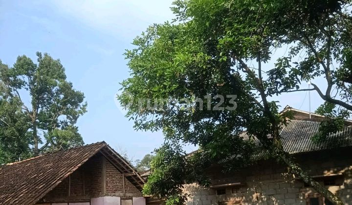 Rumah Sederhana Hitung Tanah Aja Murah Mijen Bonus Pajak dan Balik Nama 2
