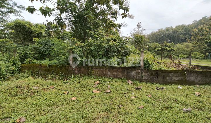 Quick Sale Cheap Land Area Undip Jangli Tembalang South Semarang 2