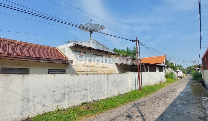 TANAH KAVLING MURAH STRATEGIS TANAH MAS SEMARANG UTARA 2