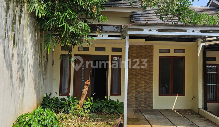 Rumah Murah 1 Lantai di Ciputat Rumah Murah 1 Lantai di Ciputat