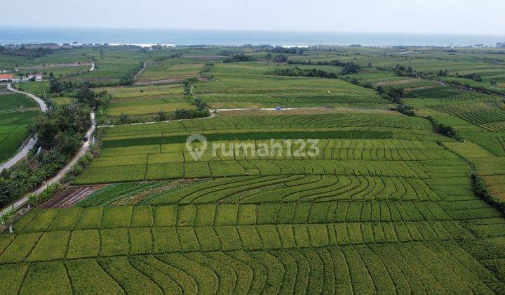 Dijual Tanah di Pasut Full View Pantai Dan Sawah Zona Pink 2