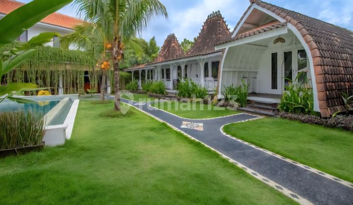 For sale Hostel at Jl. Pantai Bingin / South kuta - Bali For sale Hostel at Jl. Pantai Bingin / South kuta - Bali