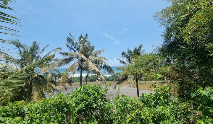 Jual Tanah Kebun View Pemandangan Sawah Dan Laut 2