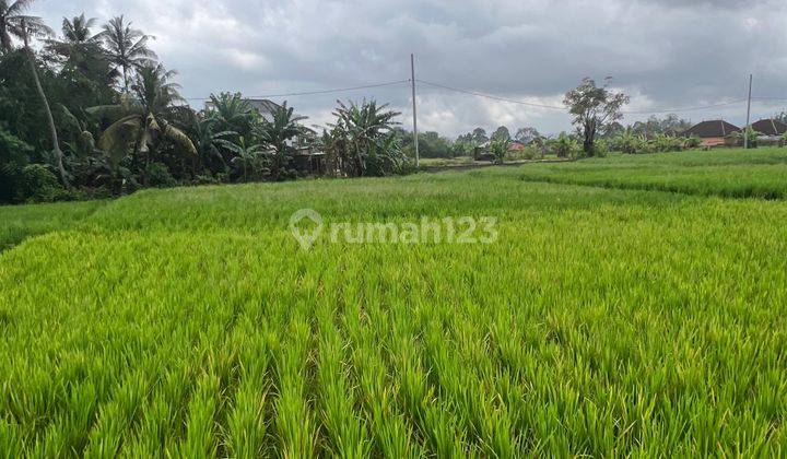 Tibubiu Kerambit Land for sale Tabanan Bali. 2