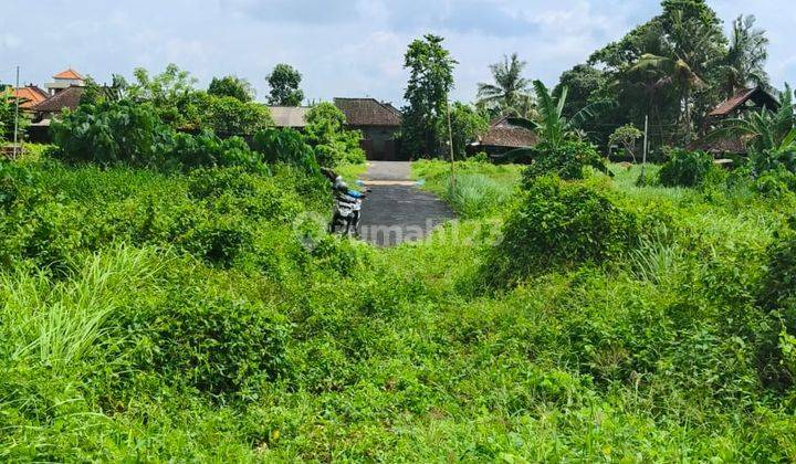 Jual Tanah Deket Pantai Kedungu Lokasi Strategi 2