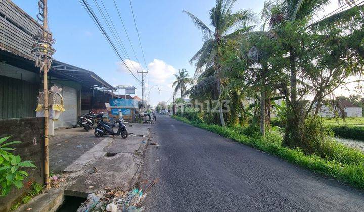 Tanah kaba-kaba tabanan sudah ada pabrik miras 2