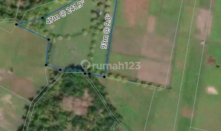 Di Jual Tanah Sawah Datar Ada Sumber Air Bersih 2