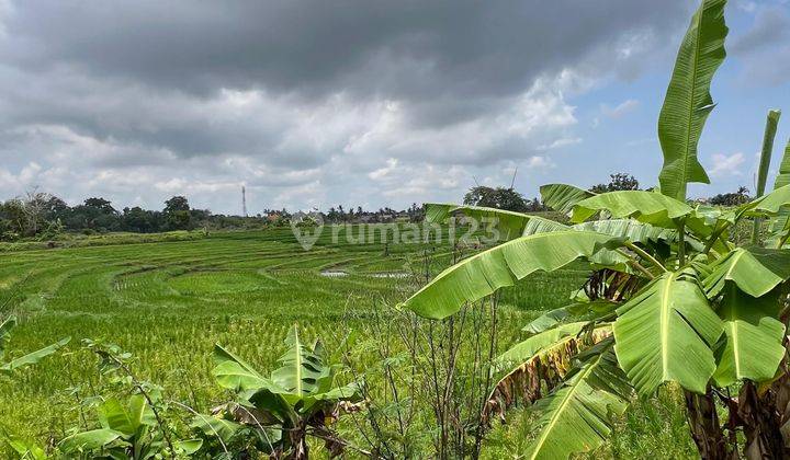 Jual Tanah Lokasi Tibubiu Kerambitan, Tabanan Bali 2