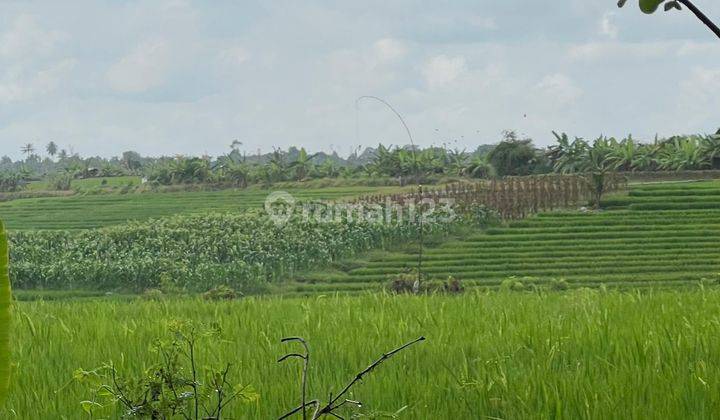 Tibubiu Kerambit Land for sale, located on the outskirts of Tabanan Street, Bali 2