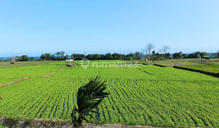 Sell Cheap Land Los Pantai Location Pulukan Jembrana Bali 2