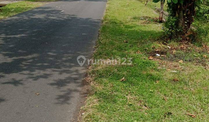 For Sale Land Los Pantai in Perancak Delod Berawa, Negara 2