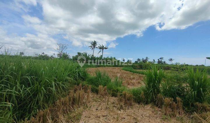 Jual Lahan Tanah Lokasi Pantai Saba Pering 2