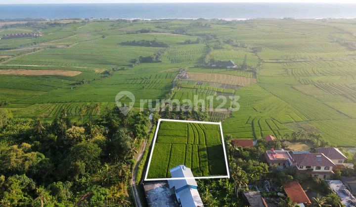 Cheap Land For Sale On Pasut Beach Tabanan