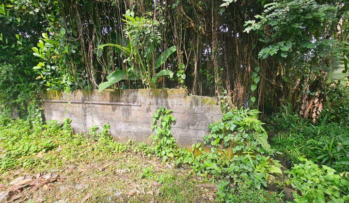 Land for Sale in Pacung Beach, Kedungu, Villa Environment 2