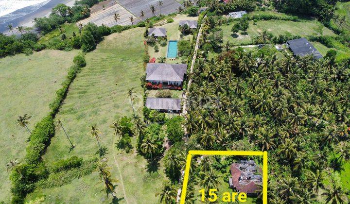 Jual Tanah Kebun 15 Are Lokasi Strategis Dekat Ke Pantai  1