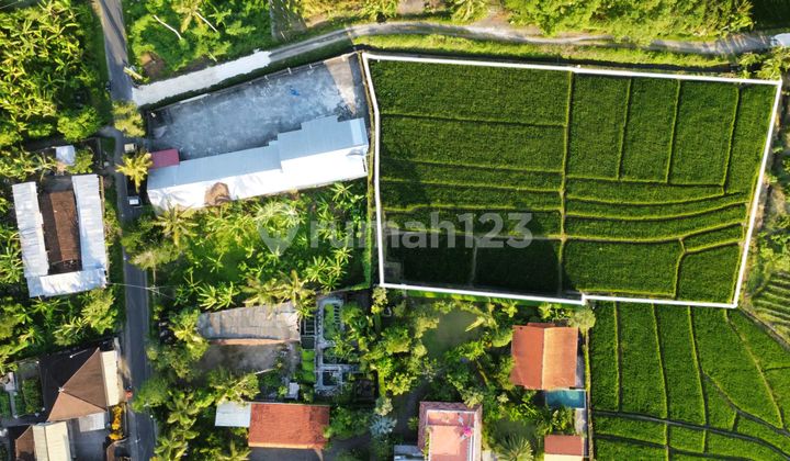 Cheap Land For Sale On Pasut Beach Tabanan