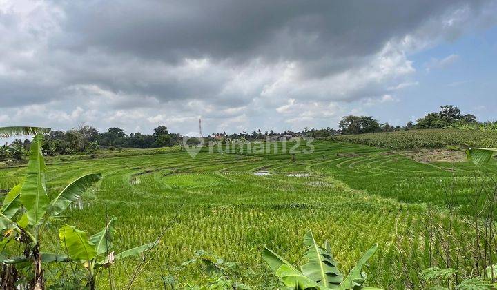 Cheap land for sale on the side of the road in Tibubiu Kerambitan, Tabanan 2