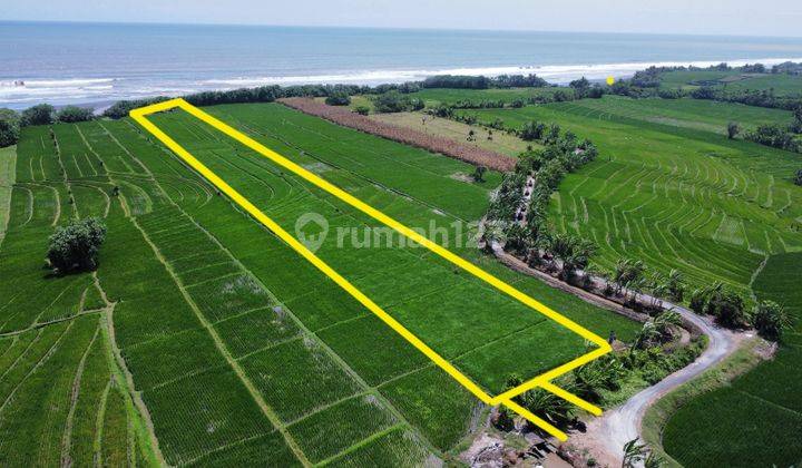 Land for Sale Los View Pantai Pasut Strategic Location 2