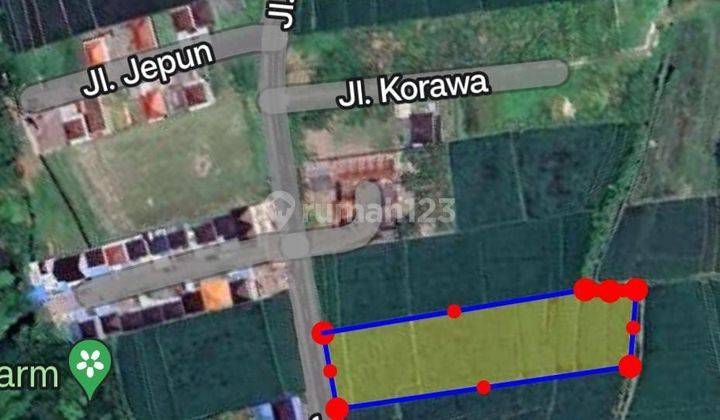 Land for sale in North Kedunggu Menuo Nyitdah 1