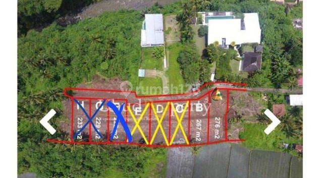 Exclusive Kaplingan Land for sale in Lodtunduh Ubud 2