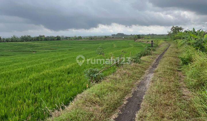 Sell Cheap Land Location Tibubiu Kerambitan 2