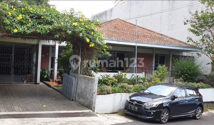 Jual Cepat Rumah Besar Dan Asri 1 Lantai,tanah Ngantong Jual Cepat Rumah Besar Dan Asri 1 Lantai,tanah Ngantong