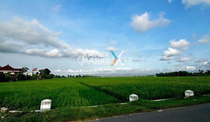 Rumah Baru View Cantik Bonus Toko Di Durenan, Trenggalek 2