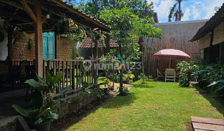 Ruang Usaha Nol Jalan Terusan Dieng Malang 2
